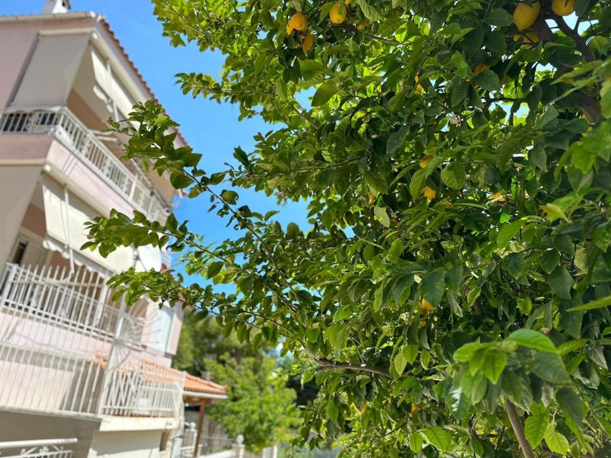 La Vita Apartments-Near Airport & Sea أرتيميدا المظهر الخارجي الصورة